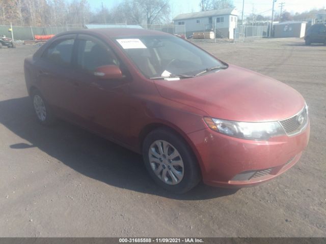 KIA FORTE 2010 knafu4a29a5243085