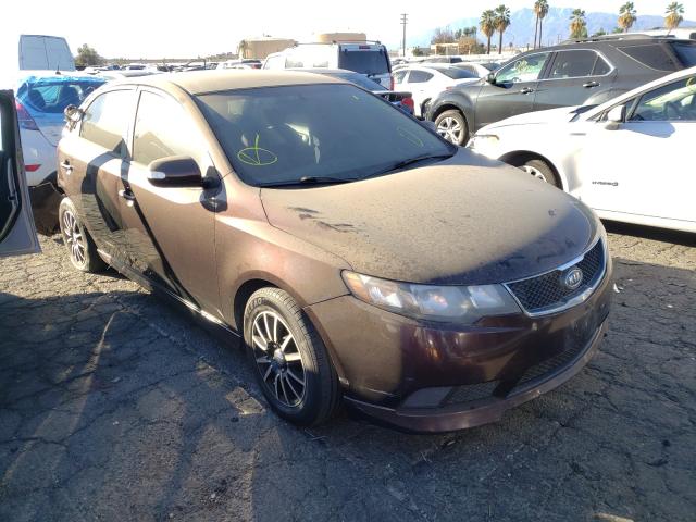 KIA FORTE EX 2010 knafu4a29a5247542