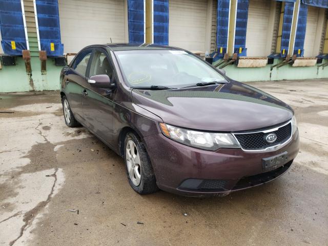 KIA FORTE EX 2010 knafu4a29a5247640