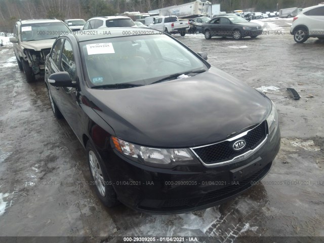 KIA FORTE 2010 knafu4a29a5248884