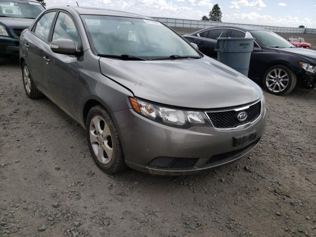 KIA FORTE EX 2010 knafu4a29a5252658