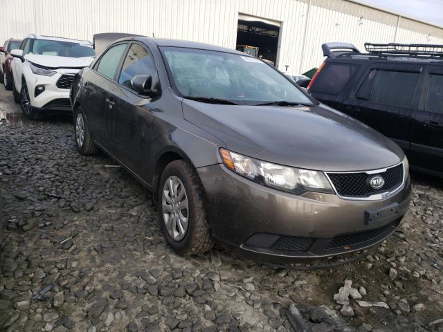 KIA FORTE EX 2010 knafu4a29a5257178