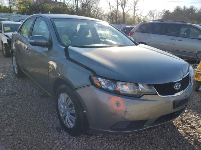 KIA FORTE EX 2010 knafu4a29a5275034