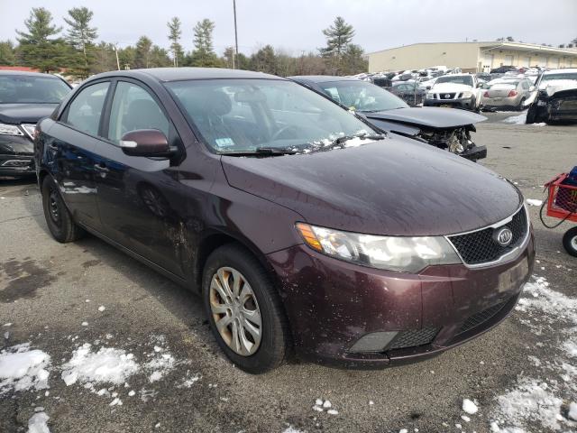 KIA FORTE EX 2010 knafu4a29a5292013