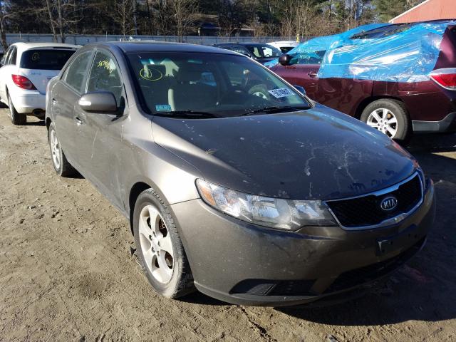 KIA FORTE EX 2010 knafu4a29a5298197