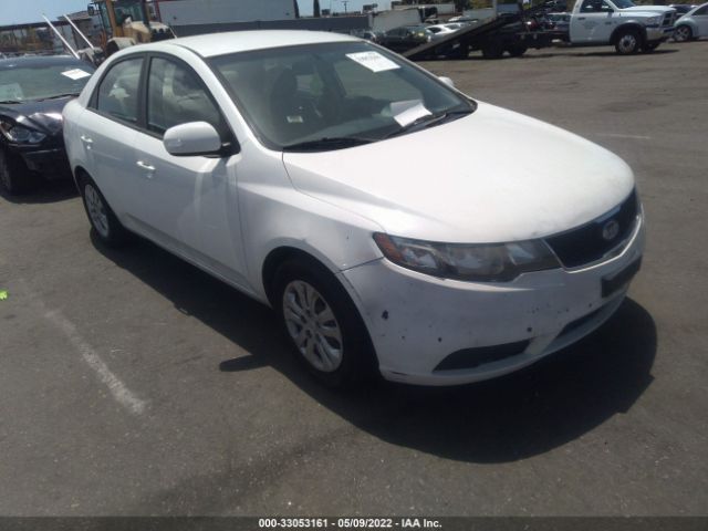 KIA FORTE 2010 knafu4a29a5298541