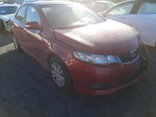 KIA FORTE EX 2010 knafu4a29a5299897