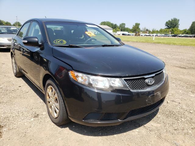 KIA FORTE EX 2010 knafu4a29a5302765