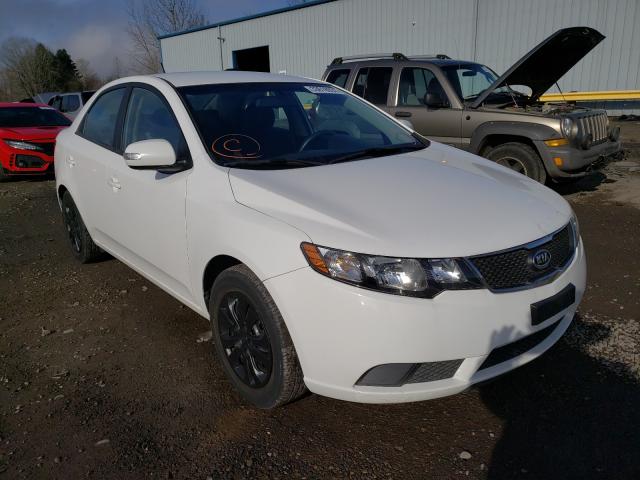 KIA FORTE EX 2010 knafu4a29a5303544