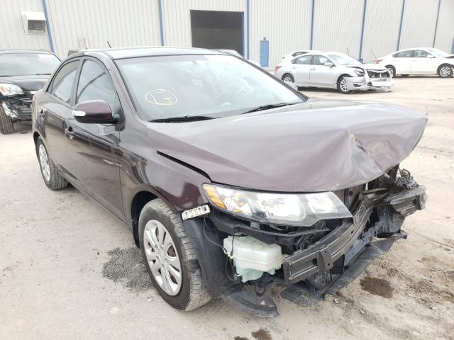 KIA FORTE EX 2010 knafu4a29a5312244