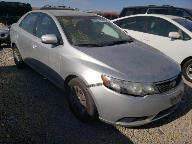 KIA FORTE EX 2010 knafu4a29a5809407