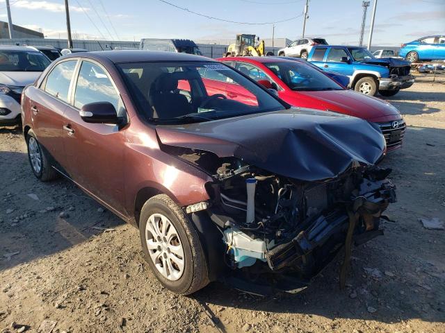 KIA FORTE EX 2010 knafu4a29a5810346