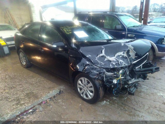 KIA FORTE 2010 knafu4a29a5811769