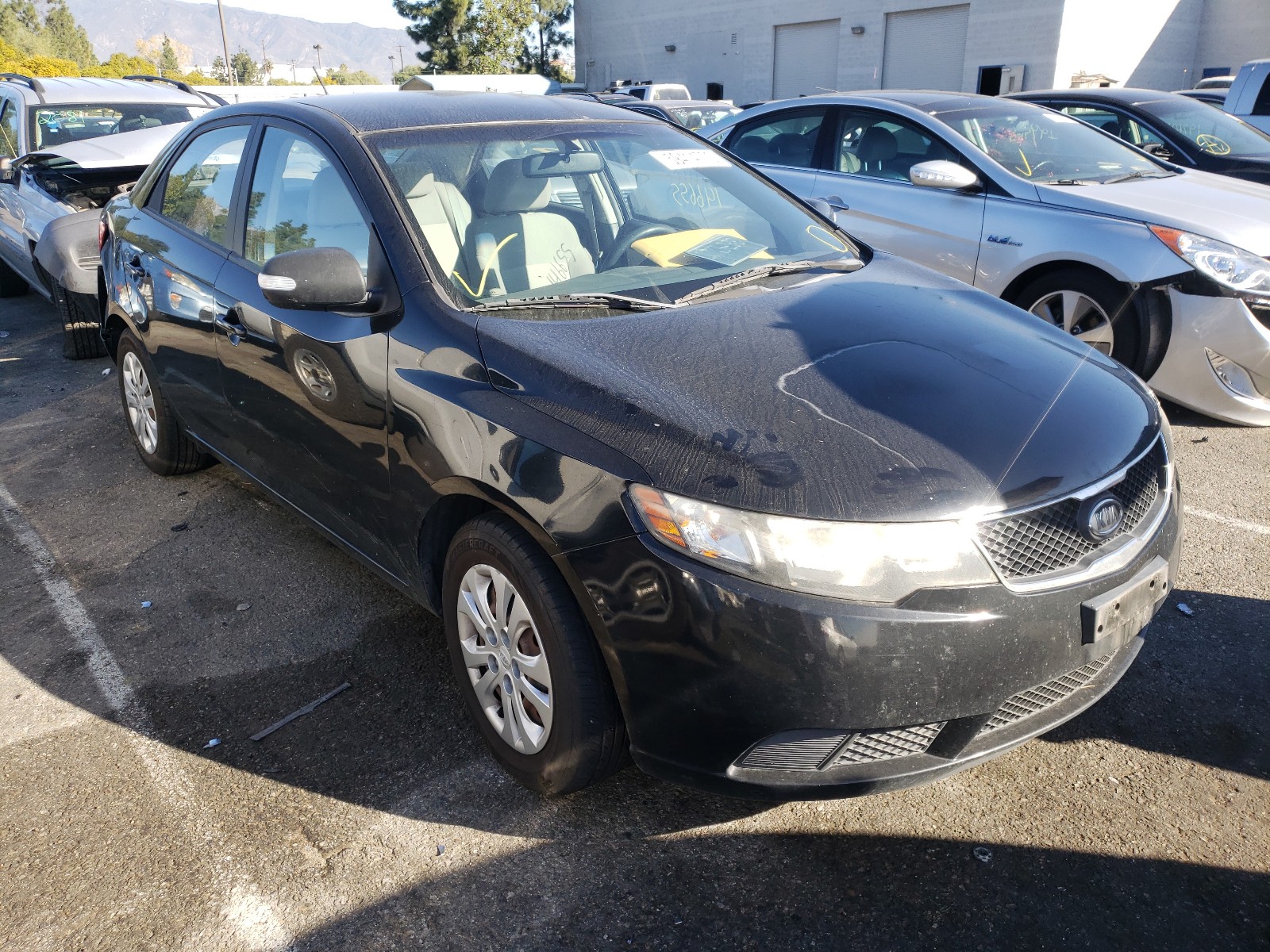 KIA FORTE EX 2010 knafu4a29a5823808