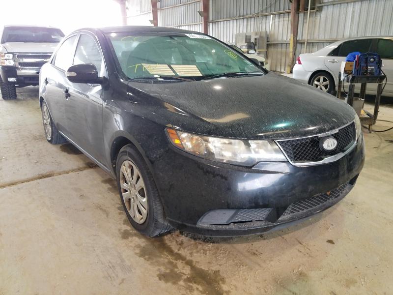 KIA FORTE EX 2010 knafu4a29a5823811