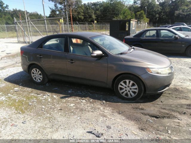 KIA FORTE 2010 knafu4a29a5824294