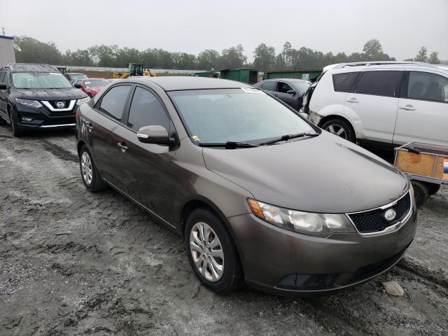 KIA FORTE EX 2010 knafu4a29a5824571