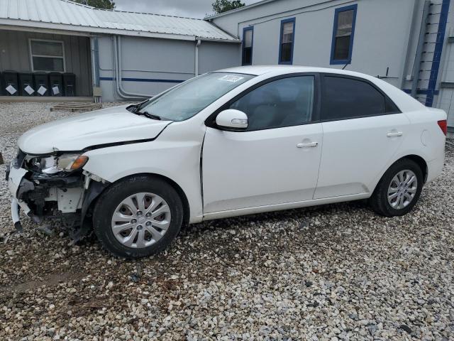 KIA FORTE 2010 knafu4a29a5826529