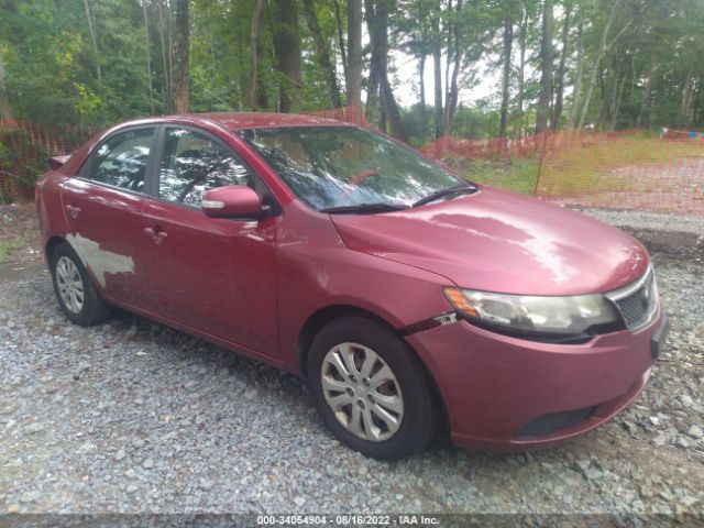 KIA FORTE 2010 knafu4a29a5827552