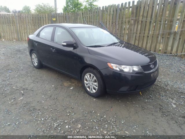 KIA FORTE 2010 knafu4a29a5835537