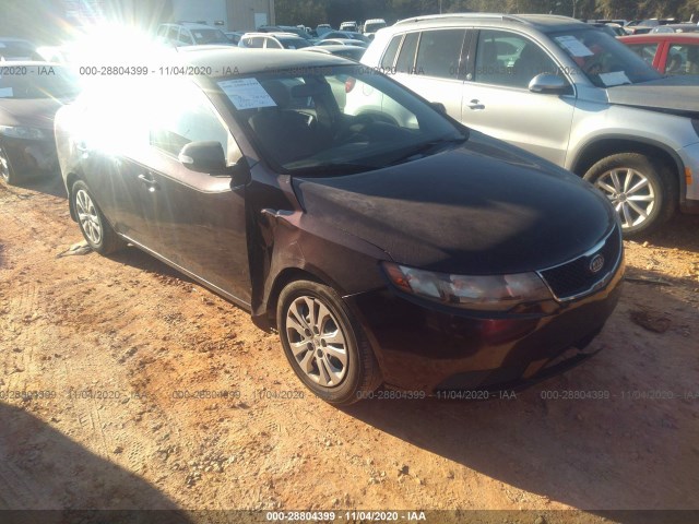 KIA FORTE 2010 knafu4a29a5835683