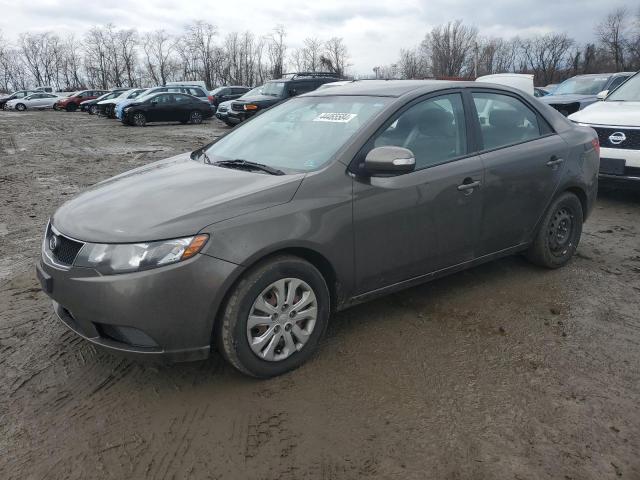 KIA FORTE 2010 knafu4a29a5836929