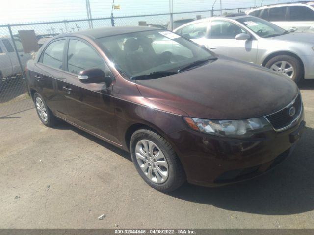 KIA FORTE 2010 knafu4a29a5837045