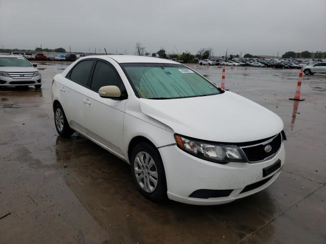 KIA FORTE EX 2010 knafu4a29a5839068