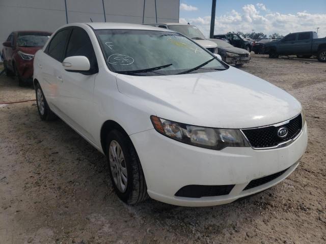 KIA FORTE EX 2010 knafu4a29a5839779