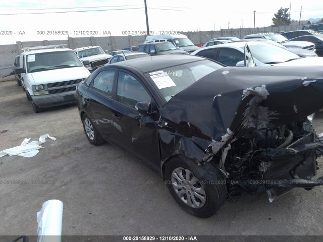 KIA FORTE 2010 knafu4a29a5843699