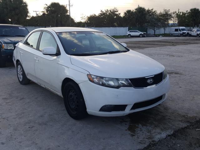 KIA FORTE EX 2010 knafu4a29a5847719