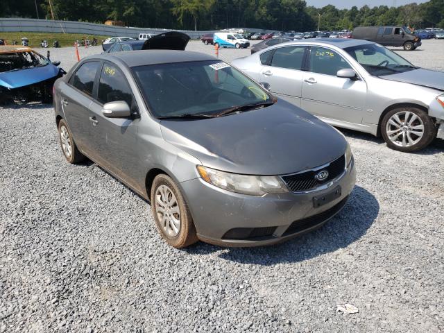 KIA FORTE EX 2010 knafu4a29a5849745