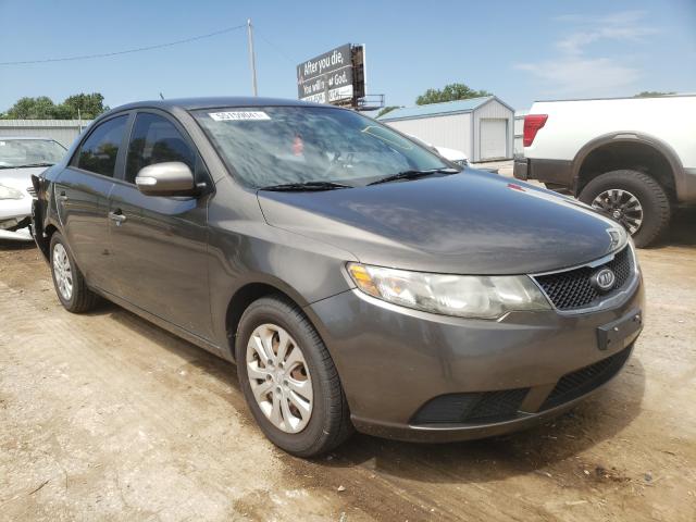 KIA FORTE EX 2010 knafu4a29a5850068