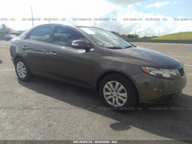 KIA FORTE 2010 knafu4a29a5861555