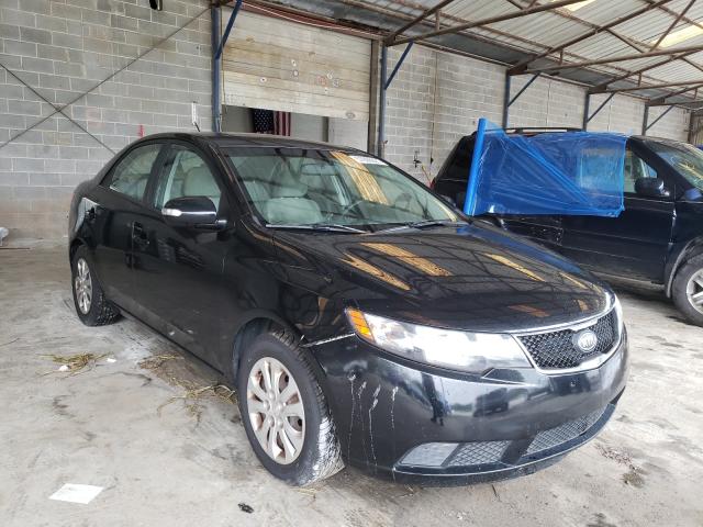 KIA FORTE EX 2010 knafu4a29a5864861