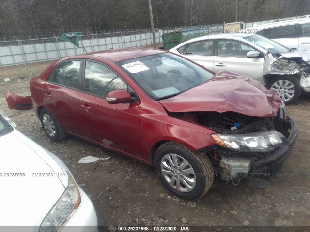 KIA FORTE 2010 knafu4a29a5865556