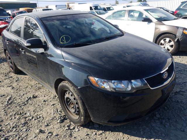 KIA FORTE EX 2010 knafu4a29a5867923