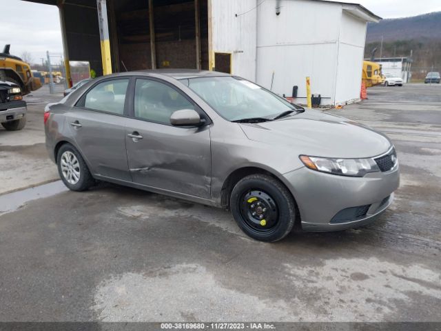 KIA FORTE 2011 knafu4a29b5323522