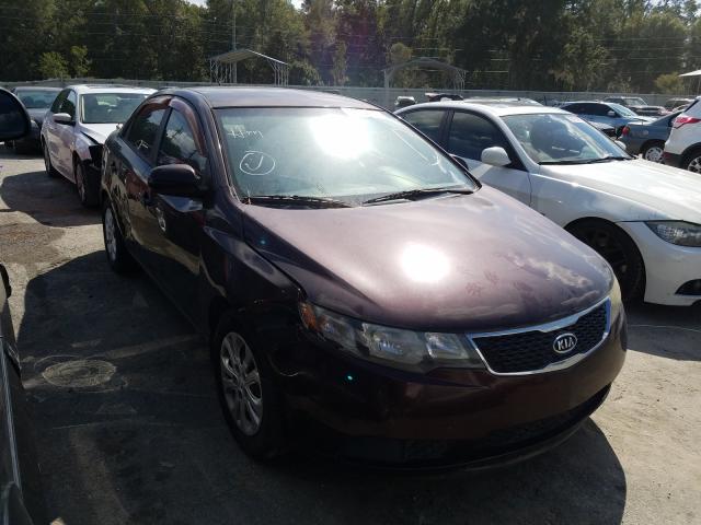 KIA FORTE EX 2011 knafu4a29b5352308