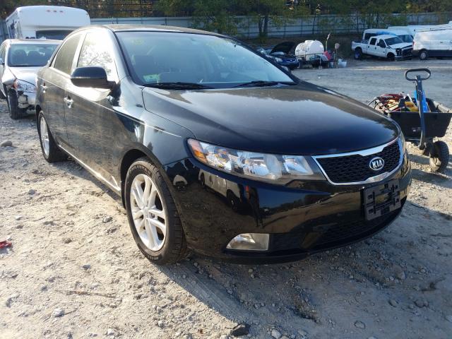 KIA FORTE EX 2011 knafu4a29b5354043