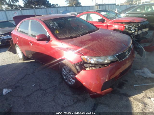 KIA FORTE 2011 knafu4a29b5360702