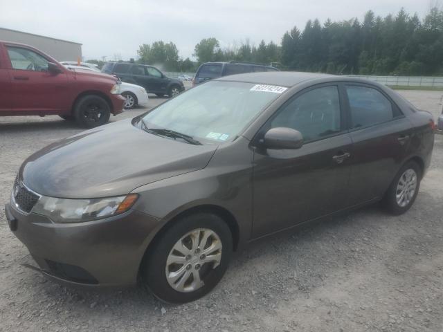 KIA FORTE 2011 knafu4a29b5375703