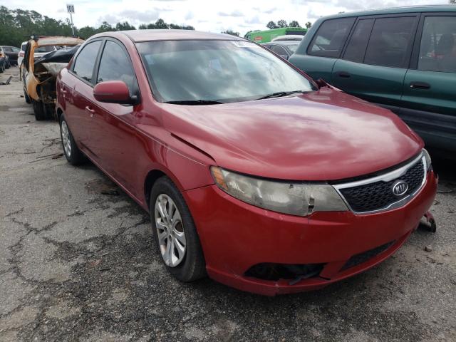 KIA FORTE EX 2011 knafu4a29b5379623