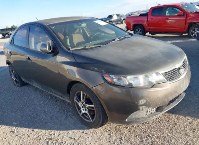 KIA FORTE 2011 knafu4a29b5398222