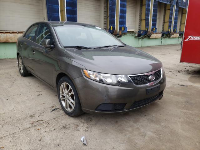 KIA FORTE EX 2011 knafu4a29b5405637