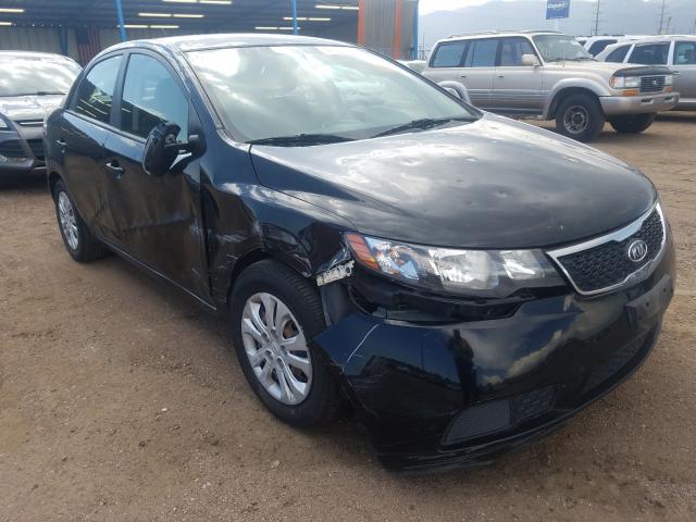 KIA FORTE EX 2011 knafu4a29b5411485