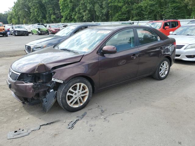 KIA FORTE EX 2011 knafu4a29b5417481