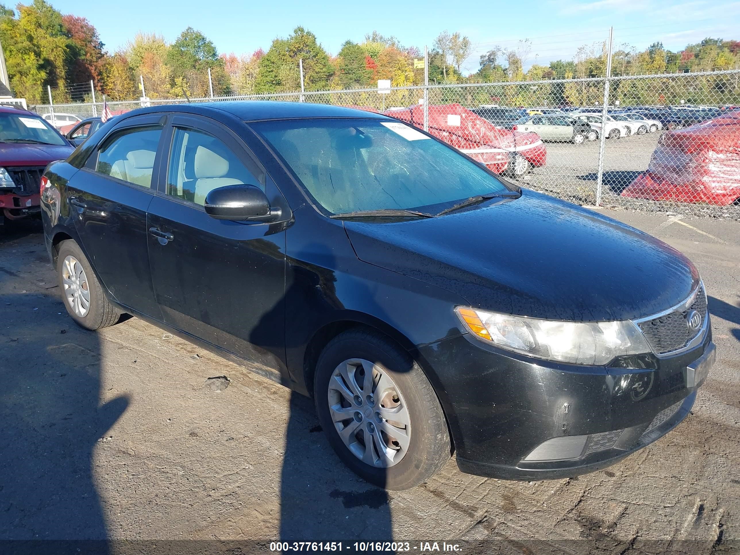 KIA FORTE 2011 knafu4a29b5423250