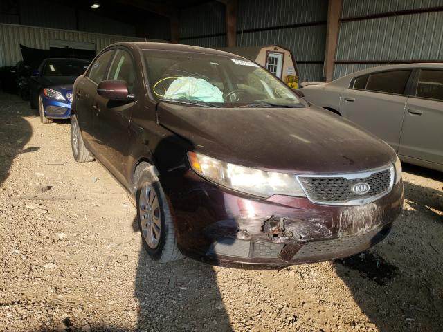 KIA FORTE EX 2011 knafu4a29b5453249