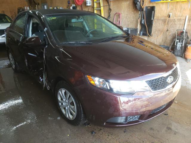 KIA FORTE EX 2011 knafu4a29b5464610